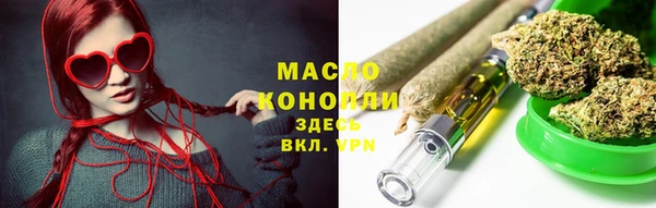 гашик Осинники