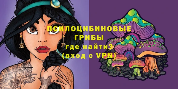 твердый Волоколамск