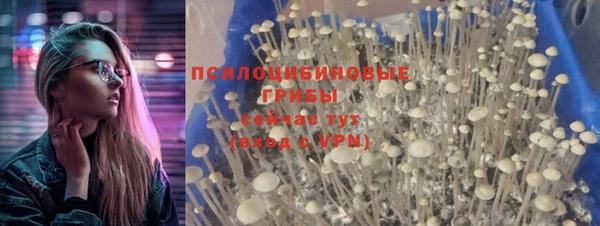 твердый Волоколамск