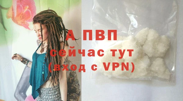 прущие грибы Верхнеуральск