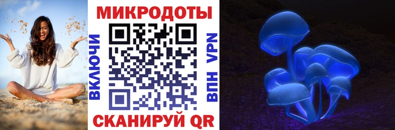 купить наркоту  Верхняя Тура  Псилоцибиновые грибы Cubensis 